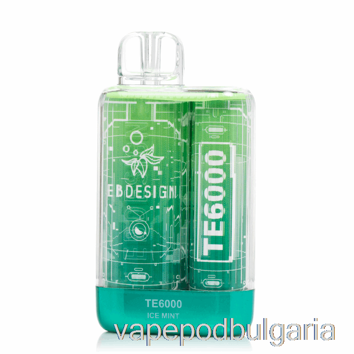 Vape 10000 Дръпки Eb Te6000 Disposable Ice Mint